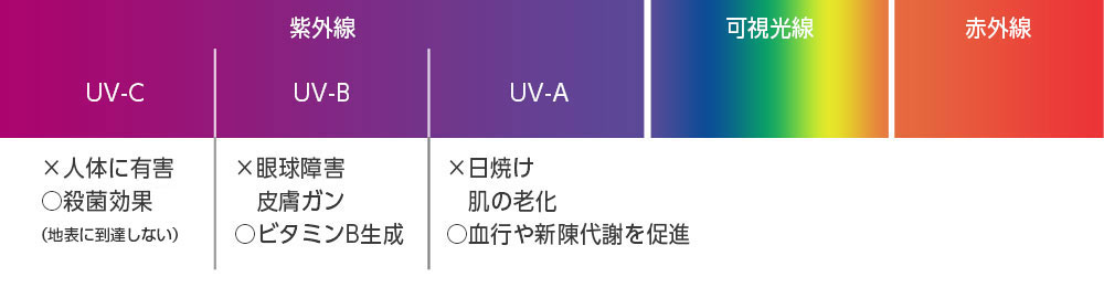 UV図